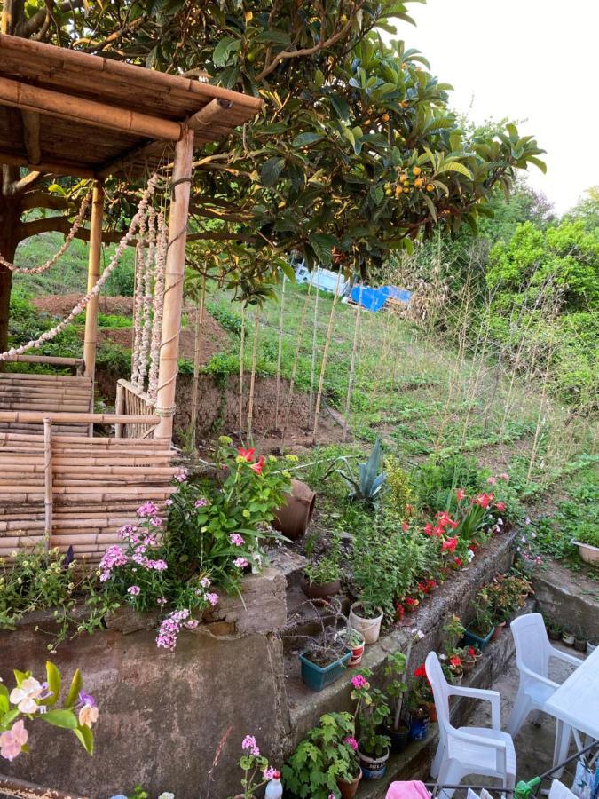Ana House Villa Makhinjauri Ngoại thất bức ảnh